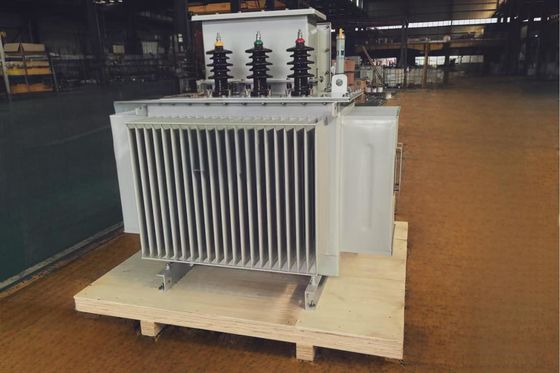 ONAN Cooling Oil Immersed Power Transformer S-M-750/13.8-0.48 for Ambient Temperature 28C and Long-lasting Performance
